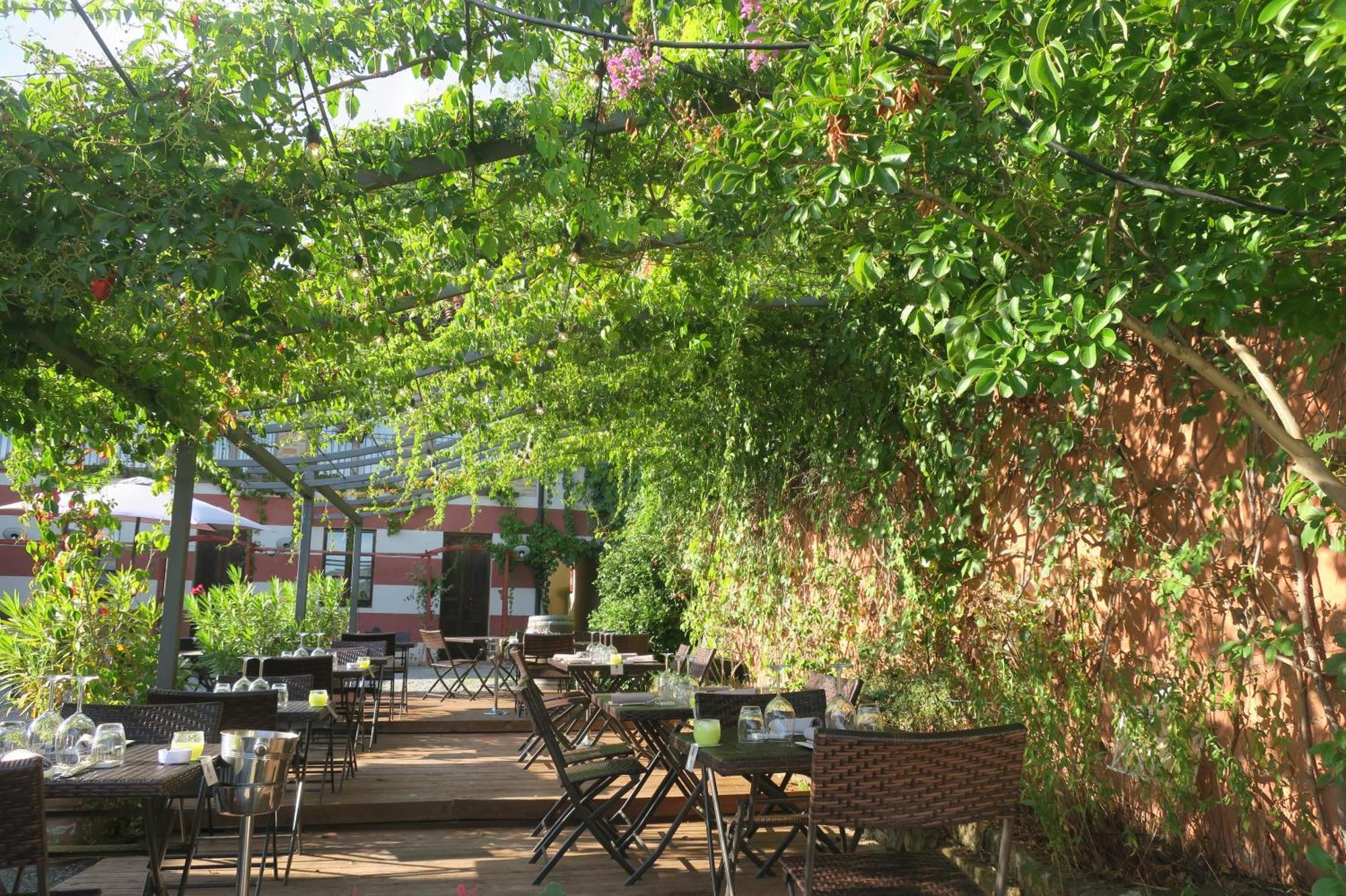 Foresteria Ristorante Conti Roero Monticello d'Alba ภายนอก รูปภาพ