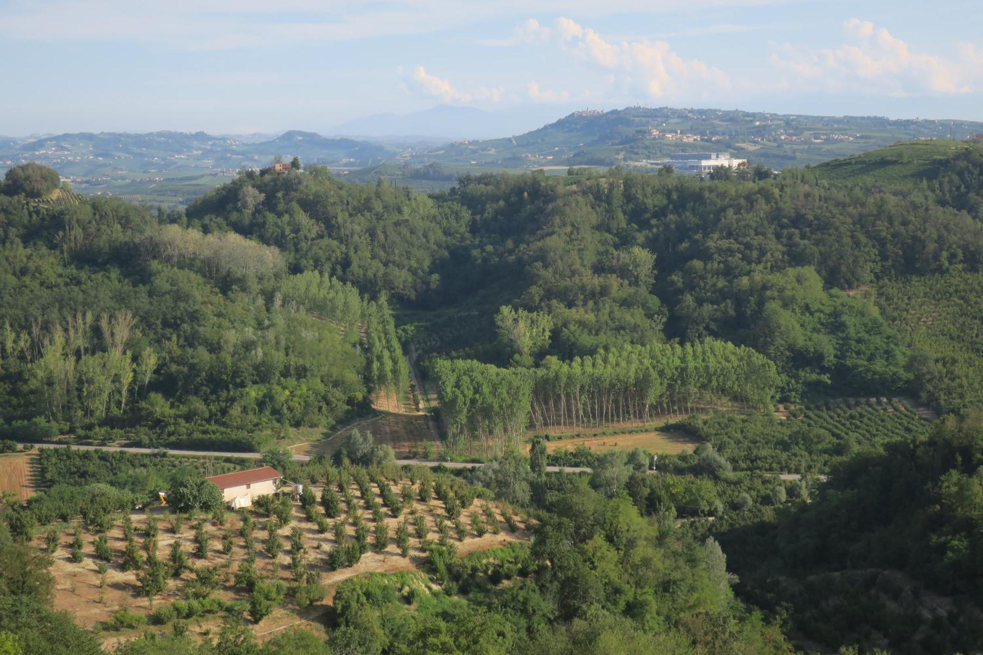 Foresteria Ristorante Conti Roero Monticello d'Alba ภายนอก รูปภาพ